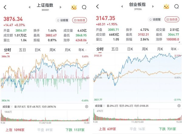 领域国际 A股三大股指收涨，创指再创阶段新高：光刻机、半导体板块涨势强劲