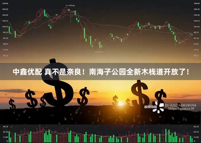 中鑫优配 真不是奈良！南海子公园全新木栈道开放了！